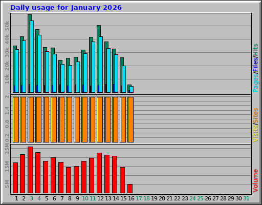 Daily usage for January 2026
