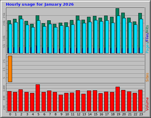 Hourly usage for January 2026